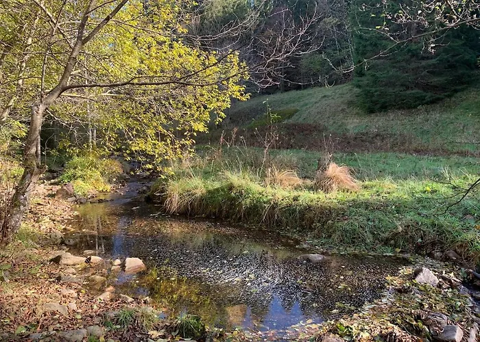 Authentic Mountain With River At 900m
